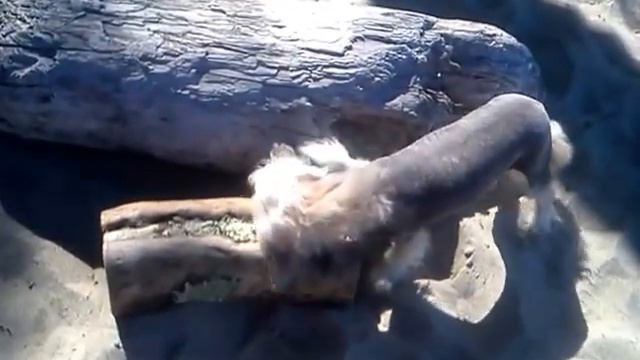 Фитнес туры в Абхазию смотреть онлайн