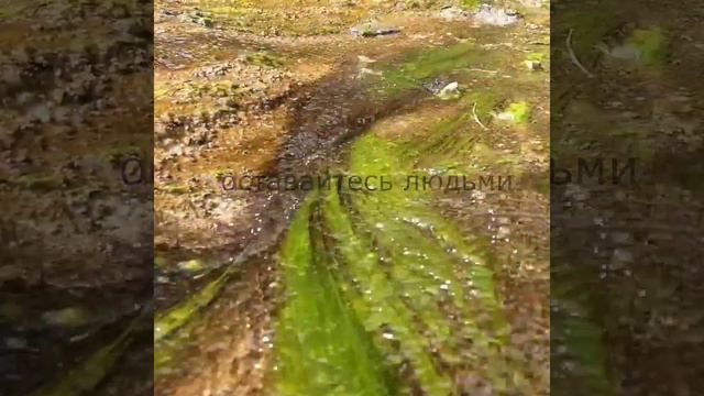 Мангистау, Восточный Каратау. смотреть онлайн