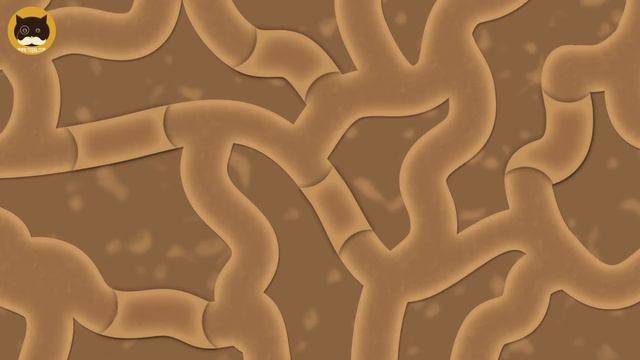 CAT GAMES - Catching a Mole in a Tunnel! Video for Cats to Watch. смотреть онлайн