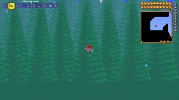 Terraria Dark Gaming server bug.