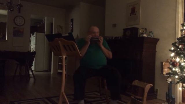 Hang down your head Tom Dooley played on my German Kreuzweinder Quartet in D смотреть онлайн
