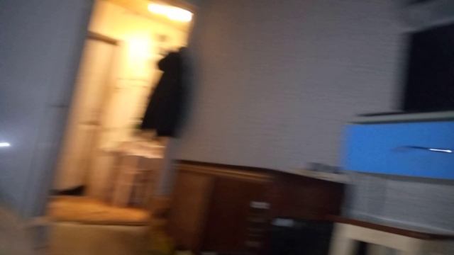 VID_20230117_203151.mp4