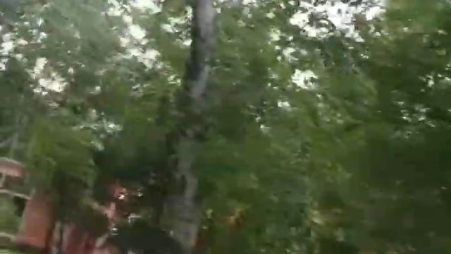 Covid19! Санаторій Новомосковський! Курорт Орлівщина! Прохід заборонено! смотреть онлайн