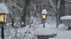 Salvatore Adamo "Tombe la neige"  - Сальваторе  Адамо "Падает снег"