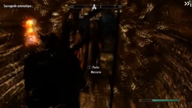 Skyrim & Mods - L'aventure par Steph Ep54 Let's Play FR смотреть онлайн