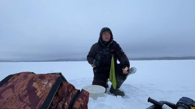 Аргази завершение сезона 2022 года .Или когда вовремя остался на месте лова. смотреть онлайн
