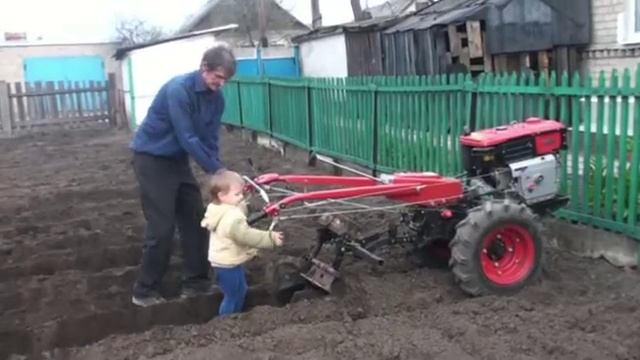 Посадка картошки окучником с помошником смотреть онлайн
