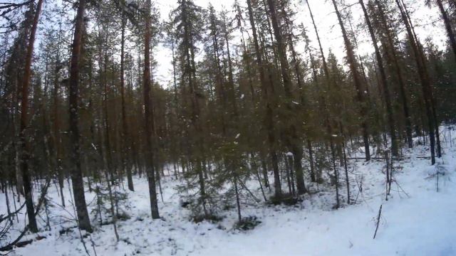 ОХОТА НА РЯБЧИКА. ПЬЮ ЧАЙ МАНЮ ПЕТУХА. смотреть онлайн