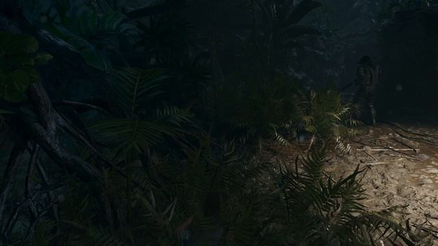 Shadow Of The Tomb Raider Definitive Edition