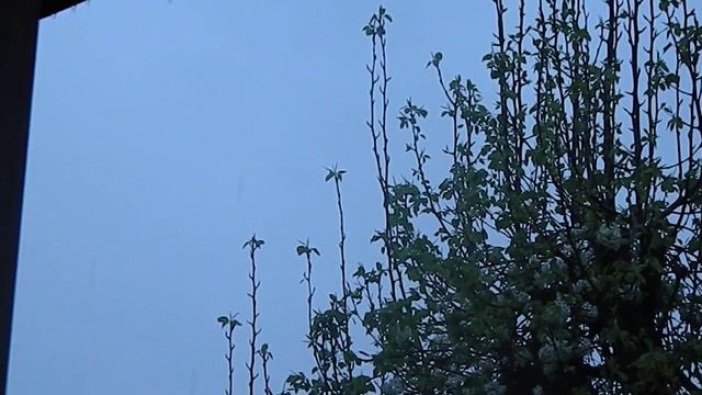 Camera video test #1 (Nikon Coolpix L120) смотреть онлайн