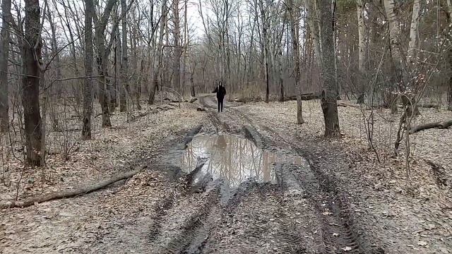 Если вы не увидите первых подснежников, вы опоздаете на Всю Весну! смотреть онлайн