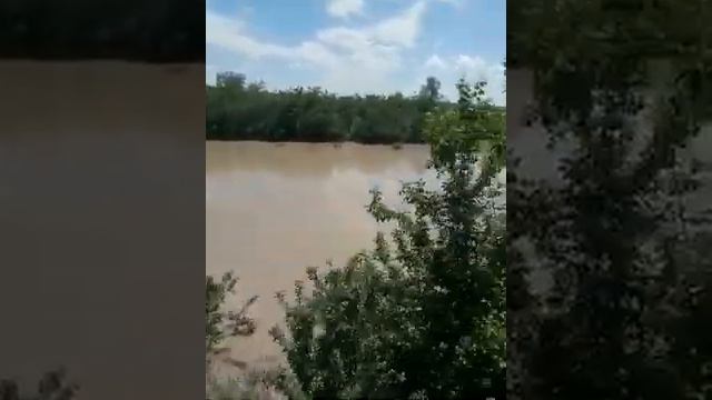Село Крива, река Прут вышла из берегов. смотреть онлайн