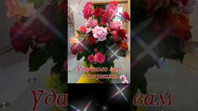 ХОРОШЕГО ВТОРНИКА.. смотреть онлайн