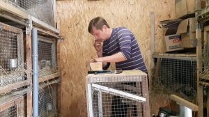 Кормушки для кроликов. Быстро. Надёжно. Бесплатно.