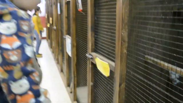 Отец заснял как мать "пропала" с ребенком в зоопарке #МалышМатвейка смотреть онлайн