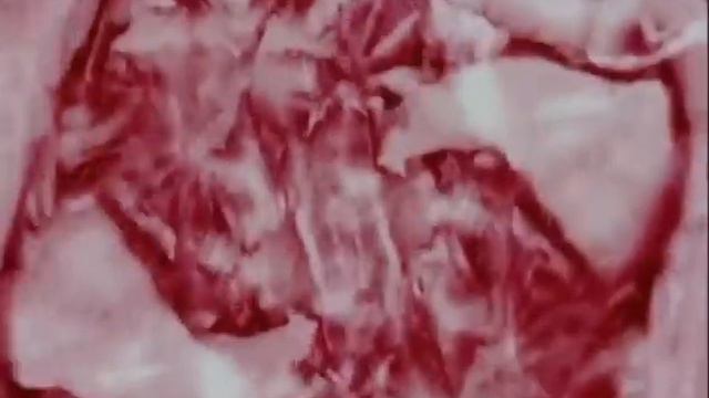 Devil Town [Daniel Johnston Cover] - Zalongo смотреть онлайн