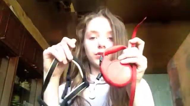 Кошачьи приключения и собачьёй жизни