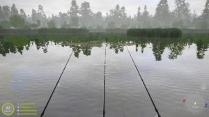 Русская рыбалка 4 - озеро Медвежье - Амур белый трофейный за островом травы