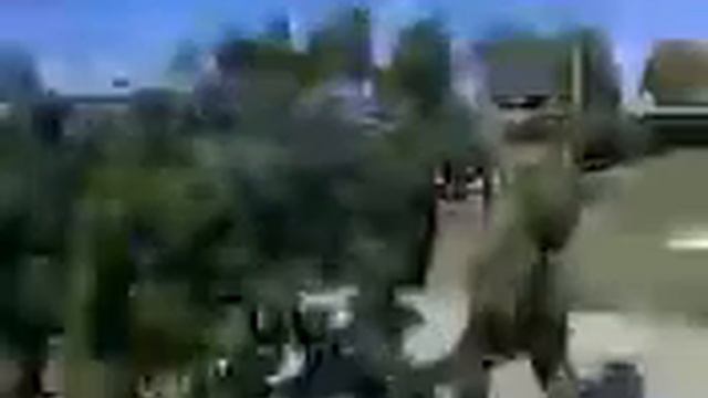 Елань 2008 #елань смотреть онлайн