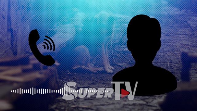 Ит баланы тиштеп алып, ары-бери сүйрөгөн окуя. Милиция итти да, анын ээсин да таба элек смотреть онлайн