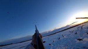 2 часть. УДАЧНАЯ ОХОТА НА ГУСЯ В ЯКУТИИ - СЕЗОН 2024: 2 ЧАСТЬ. GOOSE HUNTING YAKUTIA