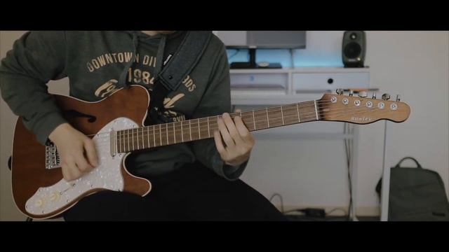 Custom Thinline Telecaster смотреть онлайн