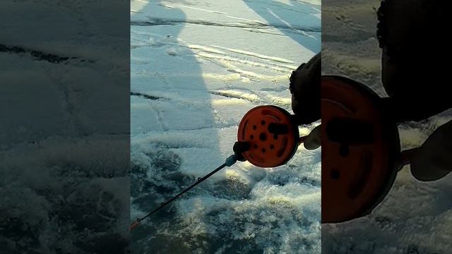 лучший зимний спининг!!!!! смотреть онлайн