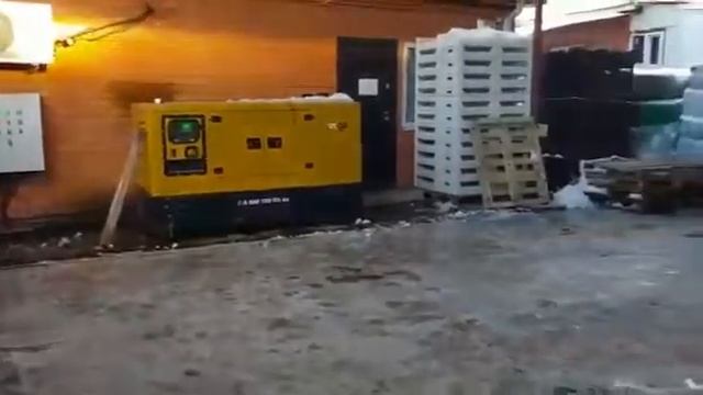 Злая немецкая овчарка 5 месяцев! начальные занятия по охране!