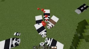 Майнкрафт с Пандами | Что вы не знали о пандах