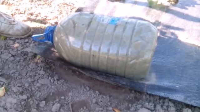 Прополка один раз