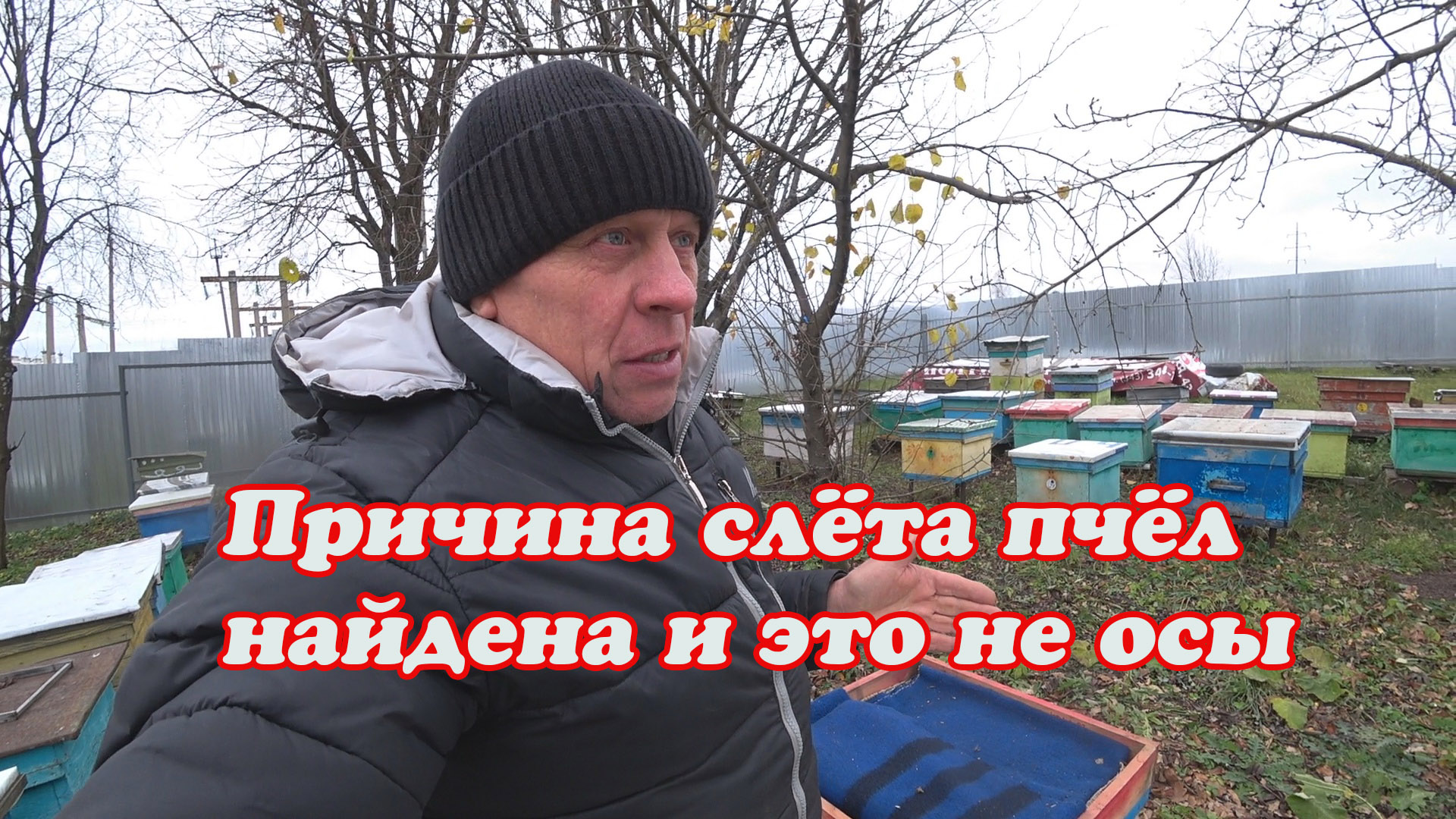 РЕЗУЛЬТАТ ПОСЛЕДНЕЙ ОБРАБОТКИ ОТ КЛЕЩА, ПРИЧИНА СЛЁТА ПЧЁЛ НАЙДЕНА. смотреть онлайн