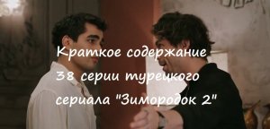 Краткое содержание 38 серии (122, 123 и 124 русских) турецкого сериала «Зимородок 2» (РФ, 2023)