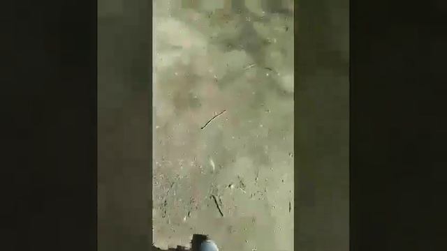 •МОЙ ДЕНЬ/Какие книги читать/Прогулка• смотреть онлайн