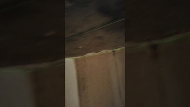 САМЫЙ БЫСТРЫЙ СПОСОБ СТРУННЫЕ МАЯКИ НА ПОТОЛОК смотреть онлайн