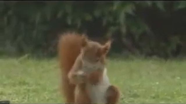 funny but good Soccer skills смотреть онлайн