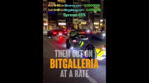 시바이누 코인  시바이누 시바이누코인 시바이누코인전망 SHIB DOGE 일론머스크 밈코인 코인전망 비트코인 이더리움 도지코인