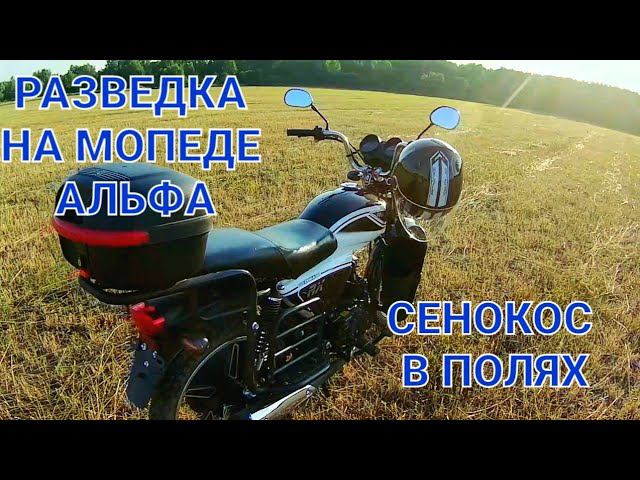 Сенокос в полях еду в разведку на мопеде Альфа смотреть онлайн