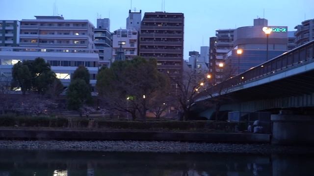 Sony a 6400. Sakura 2020 Osaka. Начало сакуры 2020 смотреть онлайн