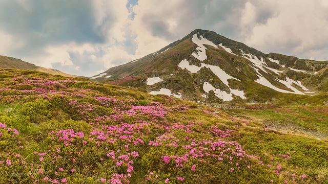 Музыка для учебы, работы, релаксации и концентрации #5