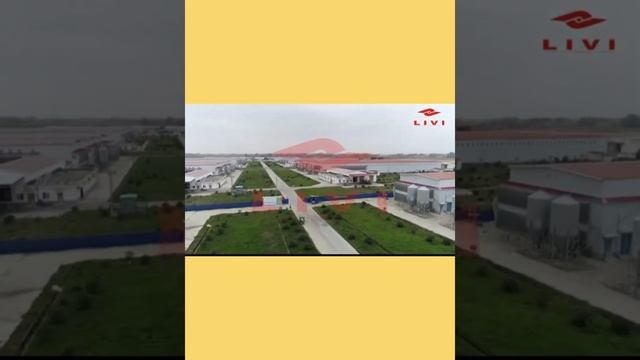 TUGAS MATA KULIAH AKUNTANSI TOPIK KHUSUS AGRO AND MARINE смотреть онлайн