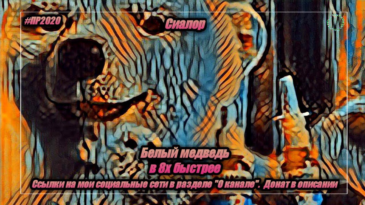 Сиалор — «Белый медведь» в 8х быстрее