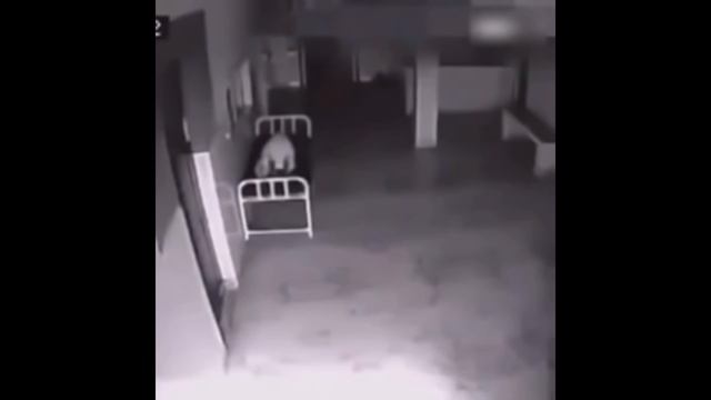 КАМЕРА ЗАСНЯЛА КАК ДУША ПОКИДАЕТ ТЕЛО ЧЕЛОВЕКА/CAMERA HAS CAPTURED A MOMENT WHEN SOUL IS LEAVING смотреть онлайн