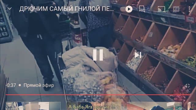 Просвещения дом 37. Тухлопритон Города на Неве основаным Петром Великим. gragdan travit Belezena le смотреть онлайн