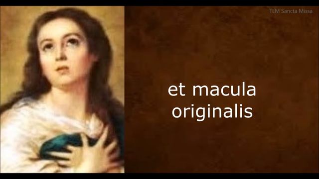 Immaculate Conceptione - Tota pulchra es, Maria смотреть онлайн