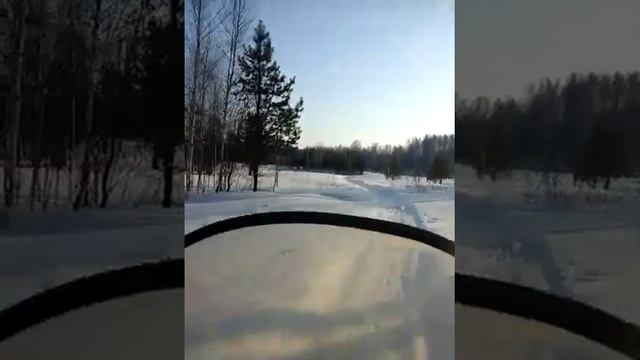 2017 01 28 Тайга 1кр выезд в лес смотреть онлайн