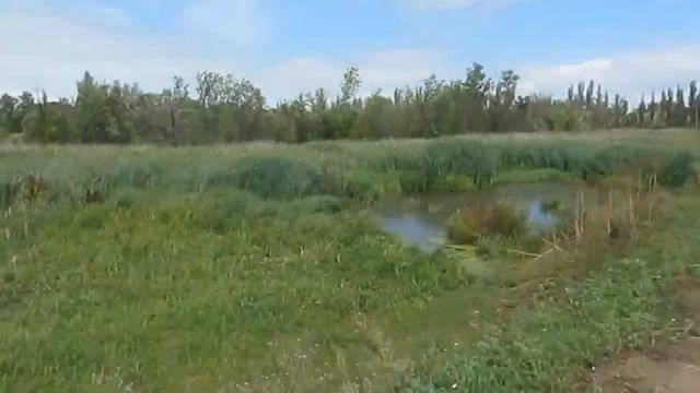 Остановка Дружба. смотреть онлайн