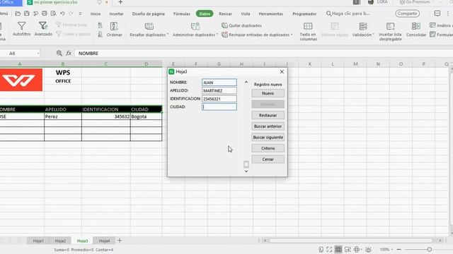 WPS OFFICE - 8 FORMULARIO USERFORM смотреть онлайн