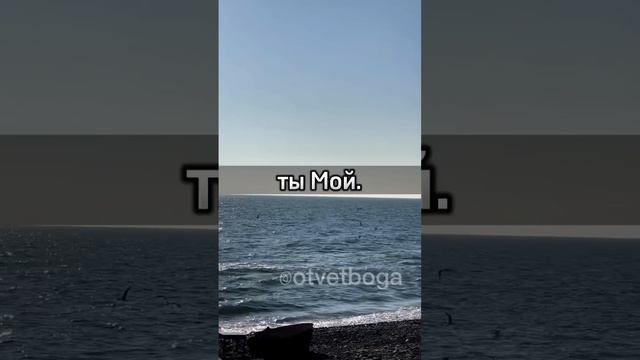 Поддержать развитие онлайн служения можно по номеру карты сбер 2202206200645435 ( Михаил О) смотреть онлайн
