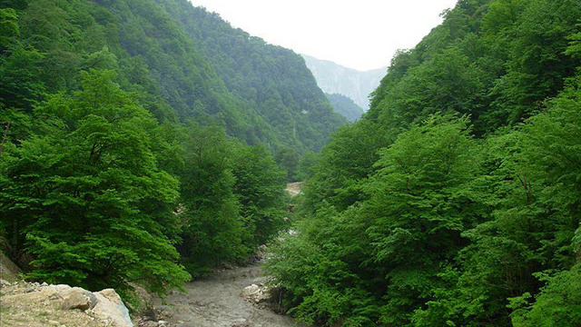 Islam Rzayev Biten Esqim
