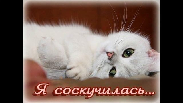 Лучшее послание для любимого парня! Скучаю по тебе... смотреть онлайн